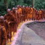 Langkah Damai 57 Bhikkhu Menuju Borobudur Warnai Waisak 2026