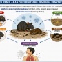 10 Negara Respon Hantavirus, Paling Serius Amerika Serikat