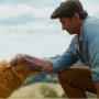 Aksi Domba Memecahkan Kasus Pembunuhan Dalam Film The Sheep Detectives