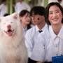 Gohan Buat Haru Penonton, Ini 5 Rekomendasi Film untuk Libur Panjang
