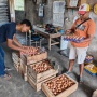 Menjaga Protein dari Hulu, Misi SPHP Jagung Meredam Gejolak Harga Telur