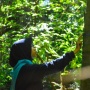 Deforestasi Hari Ini Bukan Lagi soal Pembangunan, tapi Krisis Ekologis