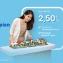 Miliki Properti dengan Cicilan Murah, Ada Promo Spesial BRI KPR Solusi Sebelum Juni 2026