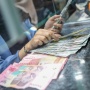 Rupiah Anjlok Lagi, Danantara Sumberdaya Indonesia Jadi Biang Kerok