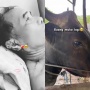Viral di Medsos, Sapi Menangis Usai Ngamuk dan Seruduk Pemilik karena Mau Dijual