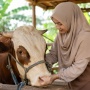 Bolehkah Perempuan Menyembelih Hewan Kurban? Begini Hukumnya