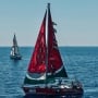 Bagaimana Cara Daftar Global Sumud Flotilla untuk Misi Kemanusiaan Gaza?