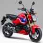 Honda Grom 2026 Meluncur dengan Gaya Balap Namun Minim Pembaruan Teknis pada Sektor Mesin