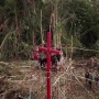Berapa Durasi Film Pesta Babi yang Tayang Gratis di YouTube?