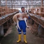 Bolehkah Kurban Satu Kambing untuk Sekeluarga Saat Iduladha? Ini Hukumnya