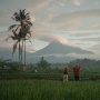 Sinopsis Vaterland or A Bule Named Yanto, Film Indonesia yang Menang di Cannes 2026