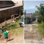 Viral! Sapi Kurban di Ciputat Ngamuk dan Lepas, Lari Sampai ke Asrama Putri UIN!