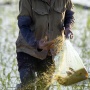 Petani Bakal Bisa Pinjam Modal dengan Jaminan Hasil Panen, Bunga 6 Persen