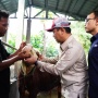 Dongkrak Ekonomi Lokal, SIG Tebar 292 Hewan Kurban di Momen Iduladha