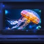 Xiaomi TV FX Mini LED Bersiap ke Pasar Global, Ini Bocoran Fiturnya
