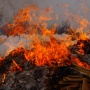 Cerita Pilu Sopir Truk di Bali Dibakar Bos Gegara Setoran, Tewas Setelah Seminggu Kritis