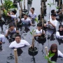Belajar Langsung di Hutan Mangrove, Cara KLH Kenalkan Keanekaragaman Hayati ke Generasi Muda
