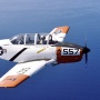 Kecelakaan Pesawat T-34 Taiwan, Kegagalan Simulasi Mesin Tewaskan 2 Pilot Militer di Kaohsiung