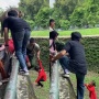 Bikin Jantung Deg-degan! Anak Kecil Nyemplung ke Kandang Gajah Saat Liburan