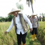 Bulog Tembus 3 Juta Ton Serapan Gabah-Beras Petani, Rekor Baru Penguatan Cadangan Pangan Nasional