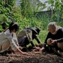 Cuma 5 Menit Sehari, Sendalu Permaculture Buktikan Berkebun Tak Harus Menyita Waktu
