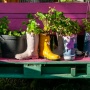7 Ide Kreatif Sulap Barang Bekas Jadi Pot Tanaman Cantik, Wajib Coba!