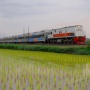 KAI Operasikan 391 Kereta Stainless Steel New Generation di Berbagai Relasi