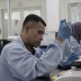 Pengembangan Vaksin Dalam Negeri Kian Maju, Perlindungan terhadap HPV Jadi Fokus