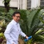 Menkes Budi Gunadi Sadikin Susul Chatib Basri dan Luhut ke Istana