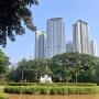 Jakarta Baru Punya 5,31 Persen Ruang Terbuka Hijau: Mengapa Warga Turun Tangan Kawal Taman Kota?