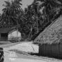 Kurangi Emisi Tak Selalu Butuh Teknologi Baru: Pelajaran dari Arsitektur Vernakular di Indonesia