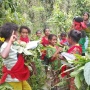Menjaga Pengetahuan yang Tumbuh di Hutan: Cerita Sekolah Adat Manusela Mengenalkan Obat Kampung