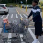 Katanya Cedera? Viral Lamine Yamal Ketahuan Asyik Belanja di Amerika Serikat
