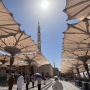 Menapaki Jejak Rasulullah SAW di Masjid Nabawi
