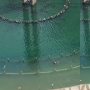 Bukan Warga Nekat! Satpol PP Ungkap Sosok Orang 'Penting' yang Viral Berenang di Kolam Bundaran HI