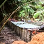 Produksi Sagu Tradisional Tetap Bertahan di Tulehu