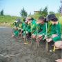 Bukan Cuma Cegah Abrasi, Inilah Manfaat Mangrove Bagi Keberlanjutan Ekonomi Pesisir