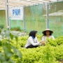 Indonesia Sustainability Award Apresiasi Komitmen ESG dan Pemberdayaan Berkelanjutan PNM