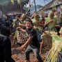 Meriah! Ratusan Warga Lembang Beradu Tomat dalam Festival Perang Tomat 2026