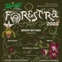 FORESTRA 2026 Umumkan Line Up Tahap Kedua, Hadirkan Perpaduan Musik dan Keindahan Alam