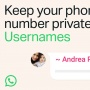 Cara Membuat Username WhatsApp, Bisa Chat Tanpa Nomor HP