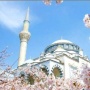 Komunitas Muslim di Jepang Terus Bertambah: Mengapa Kebutuhan Masjid Kian Mendesak?