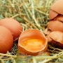 3 Butir Telur