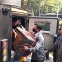 Diangkut Barracuda Brimob, Koper Barang Bukti dari Rumah Mewah Sentul Tiba di Polda Metro Jaya