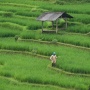 Bikin Geleng-Geleng! 5 Desa di Indonesia dengan Aturan yang Tak Bisa Kamu Temukan di Tempat Lain