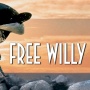 Warner Bros Garap Ulang Film Free Willy, Russo Brothers Jadi Produser