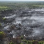 Riau Sumbang 198 Hotspot, Karhutla di 3 Wilayah Capai 124 Hektare