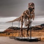 Fosil Tyrannosaurus Rex Gus Jadi Rebutan Miliarder dan Ilmuwan, Harganya Tembus Jutaan Dolar AS