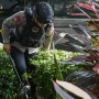 Teror Bom Saat MPLS, Gegana Sterilisasi SD di Jagakarsa
