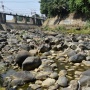 Kemarau Mulai Terasa, Debit Ciliwung di Bendungan Katulampa Turun Drastis